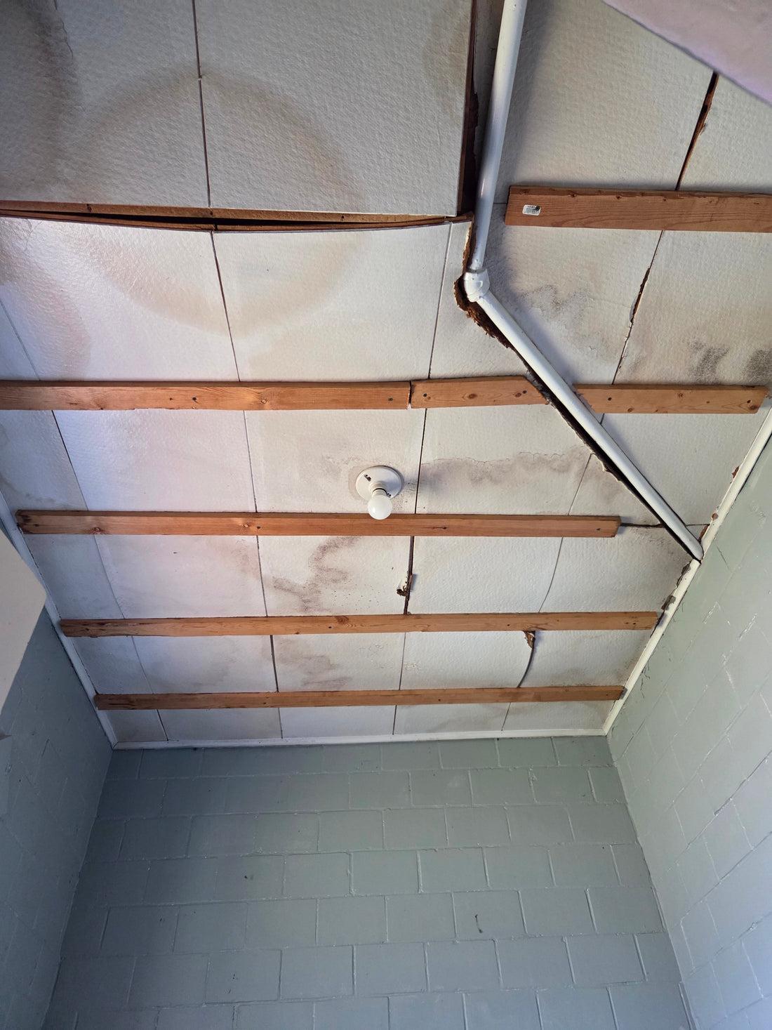 A downstairs, unused, restroom ceiling.