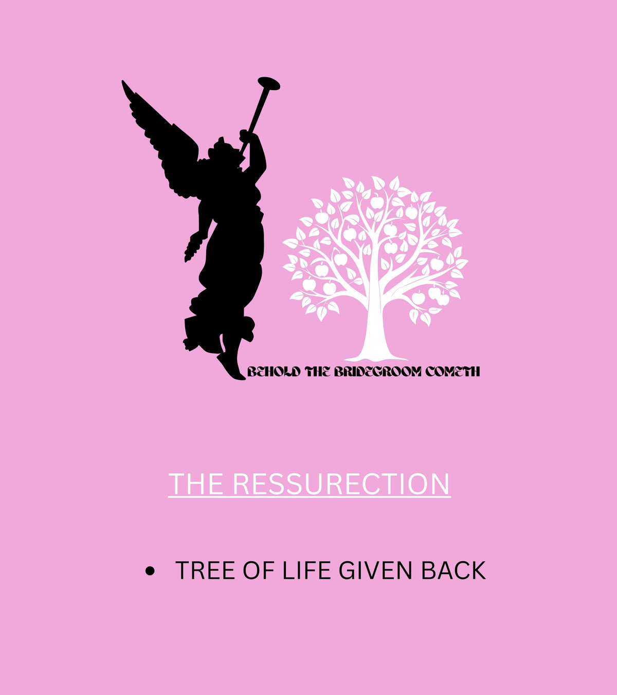 The Entire Process of Salvation in a Glance Zine (20 pack)